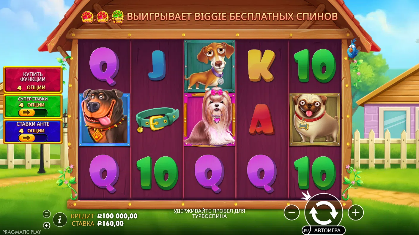 The Big Dog House — основное игровое поле