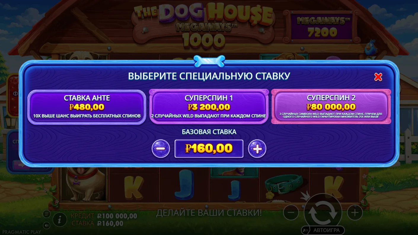 The Dog House Megaways 1000 — специальные ставки